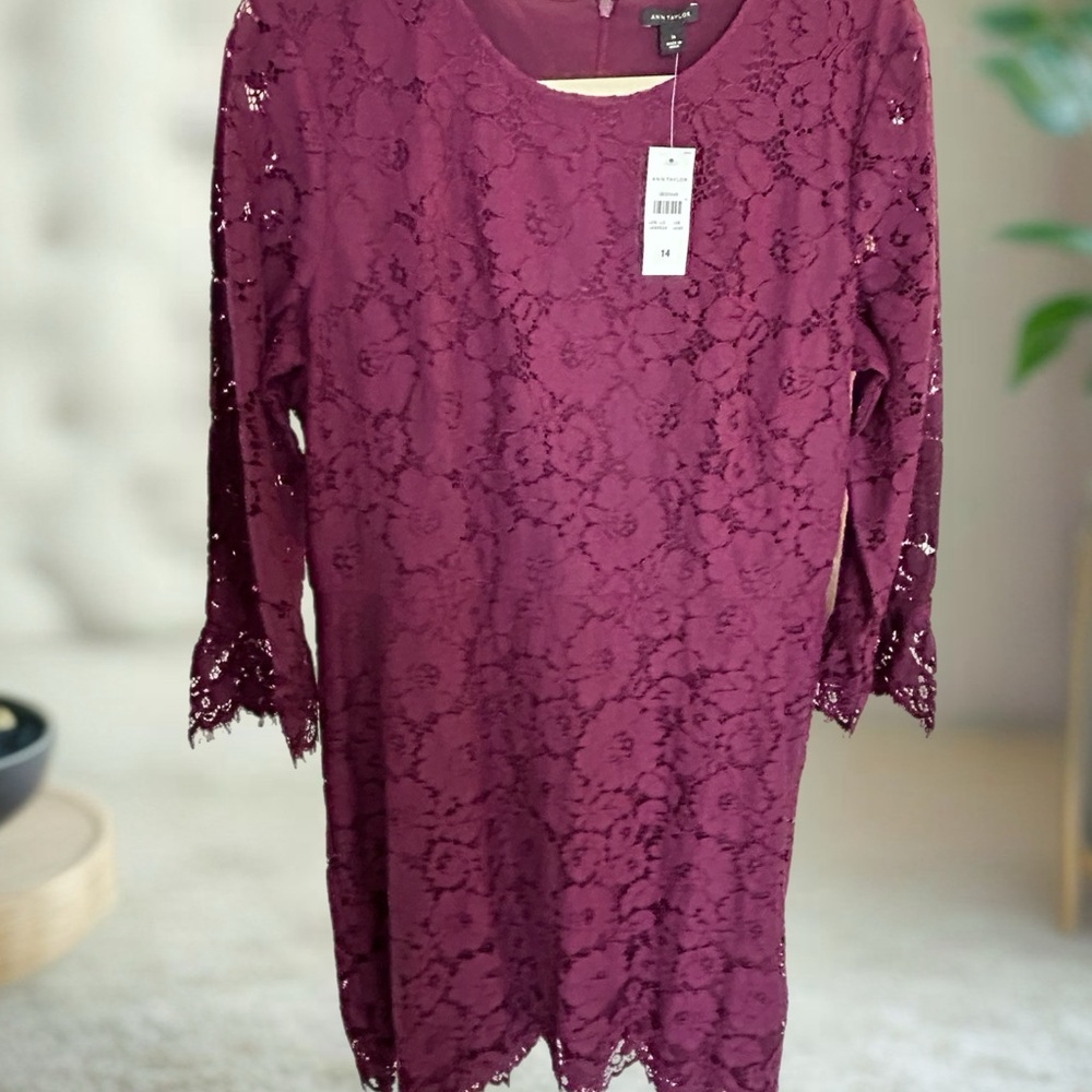 Ann Taylor Lace Long Sleeve Dress in Deep Burgundy